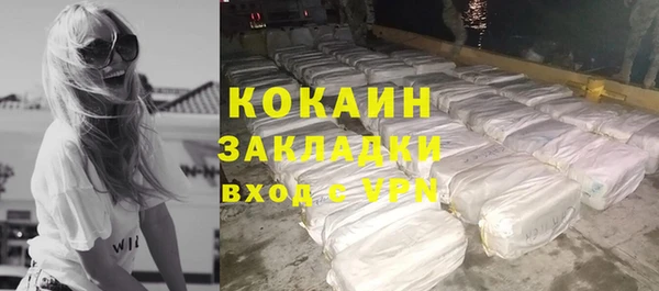 твердый Арсеньев