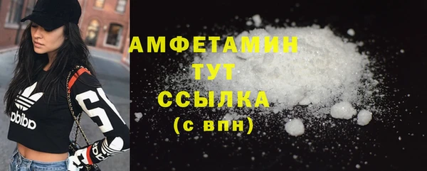 твердый Арсеньев