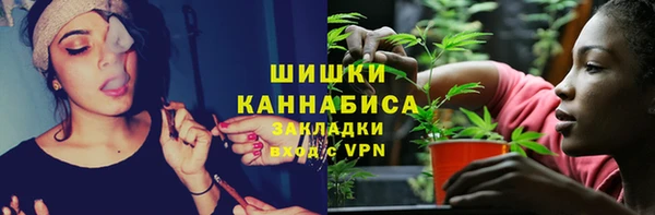 твердый Арсеньев