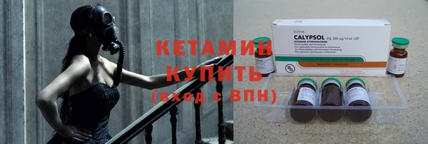 твердый Арсеньев