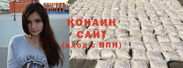 твердый Арсеньев